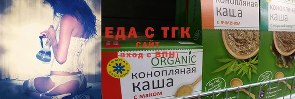 хмурый Аркадак