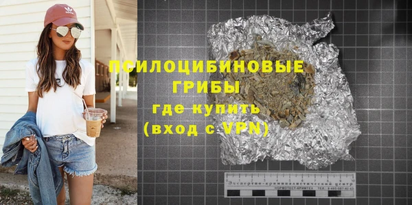 хмурый Аркадак