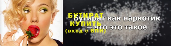 хмурый Аркадак