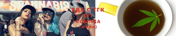 хмурый Аркадак