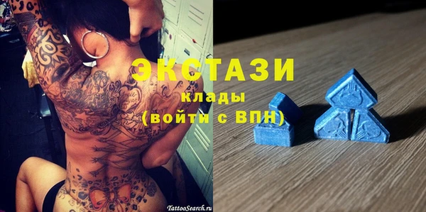 хмурый Аркадак