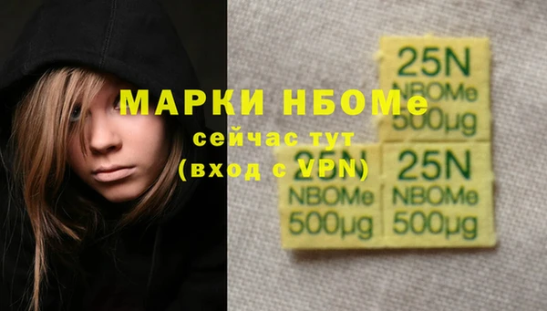 хмурый Аркадак