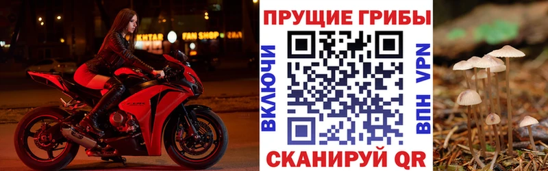 Псилоцибиновые грибы GOLDEN TEACHER  маркетплейс какой сайт  Асбест  kraken ссылки 